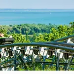 Dezsa * Balatonalmádi